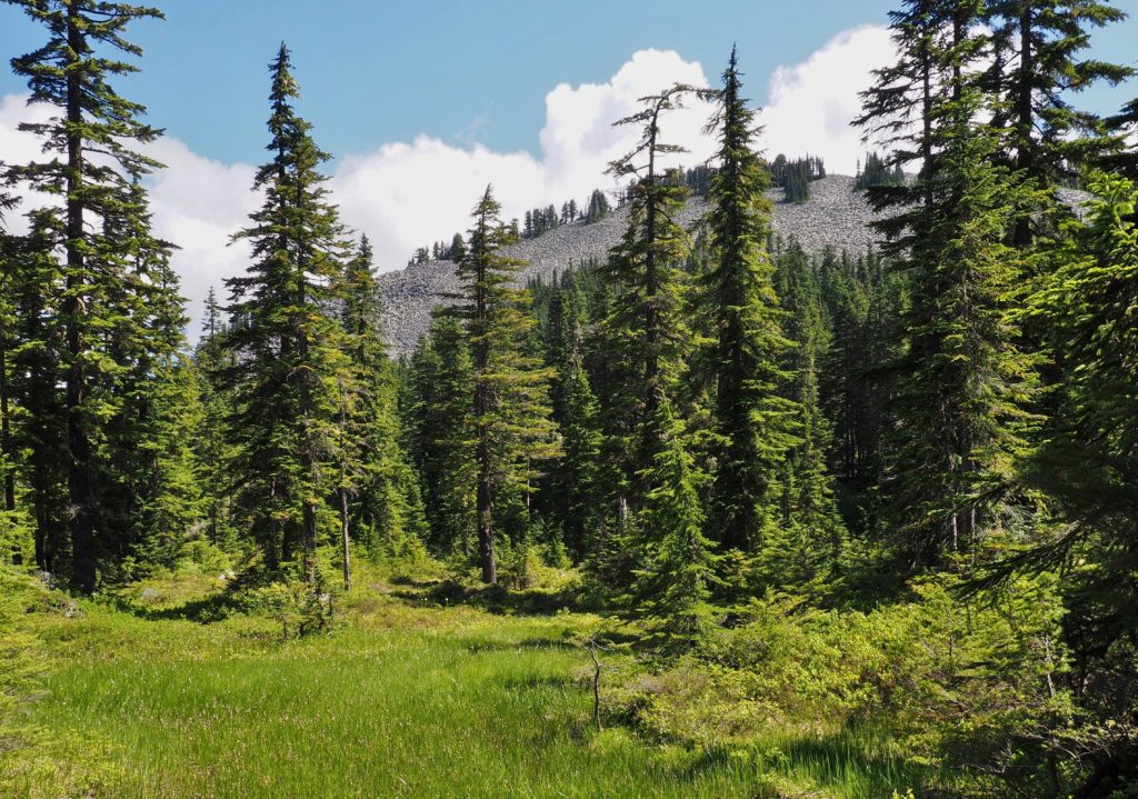 Mason Lakes, Rainbow Lake, and Island Lake (Ira Spring Trail ...