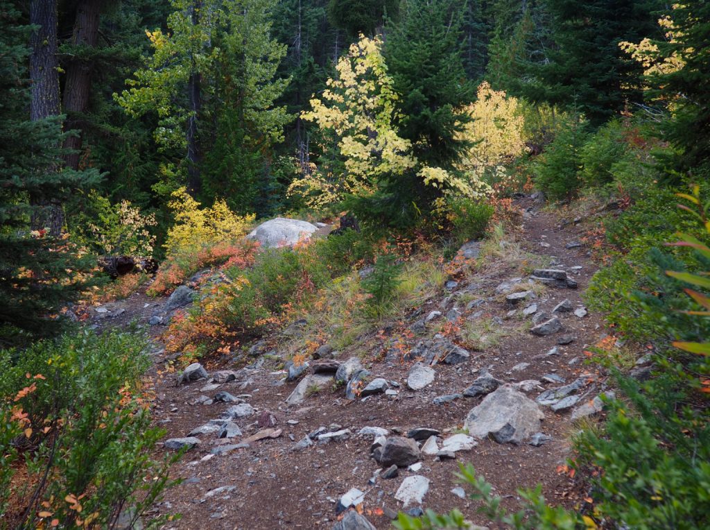 Cedar Falls (Okanogan County) – Hesperos Flown