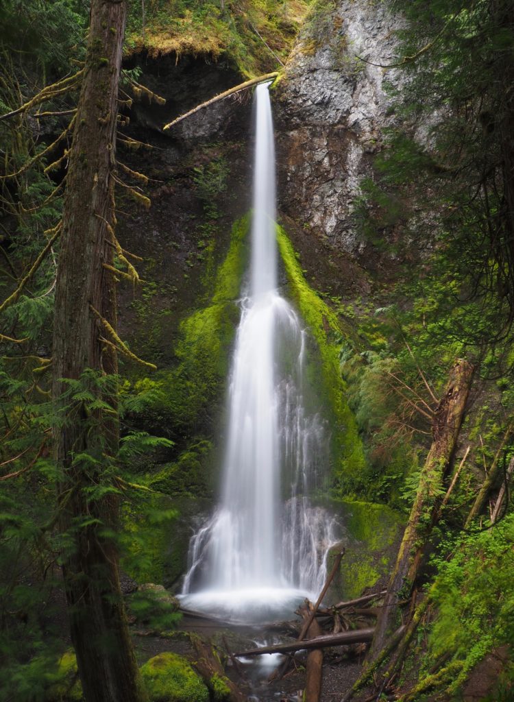 Marymere Falls, Barnes Creek, and the Aurora Divide – HesperosFlown